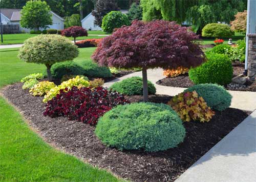 Landscaping Marlton NJ 08053 | Lewis Lawn & Tree Service