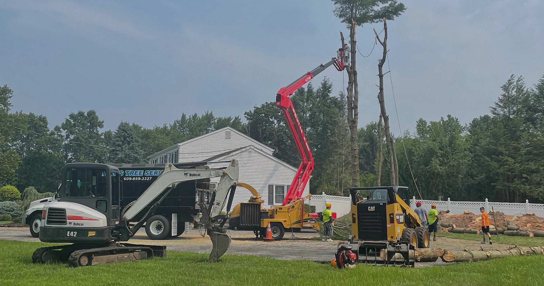 Landscaping Tree Removal South Jersey | Lewis Lawn & Tree Service