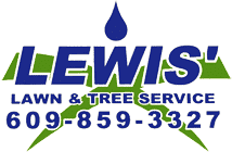 Landscaping Burlington County NJ | Lewis Lawn & Tree Service